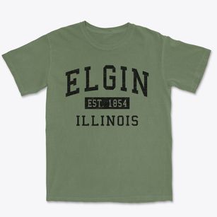 Elgin Illinois Classic Established Premium Heavyweight T-shirt