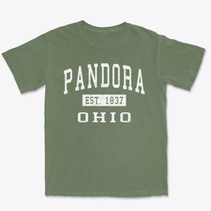 Pandora Ohio Classic Established Premium Heavyweight T-shirt
