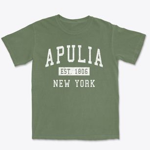 Apulia New York Classic Established Premium Heavyweight T-shirt