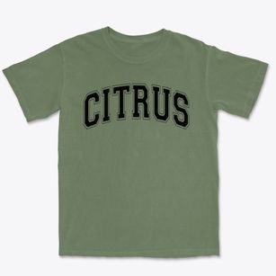 Citrus Middle School Varsity Arch Premium Heavyweight T-shirt