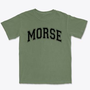 Morse School Of Fine Arts & Technology Varsity Arch Premium Heavyweight T-shirt