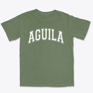 Aguila Elementary School Varsity Arch Premium Heavyweight T-shirt