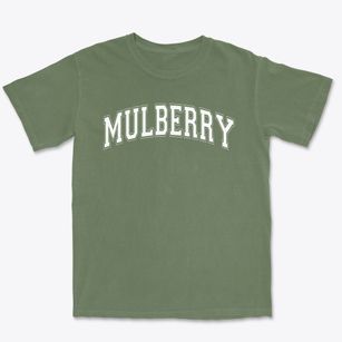 Mulberry Elementary School Varsity Arch Premium Heavyweight T-shirt