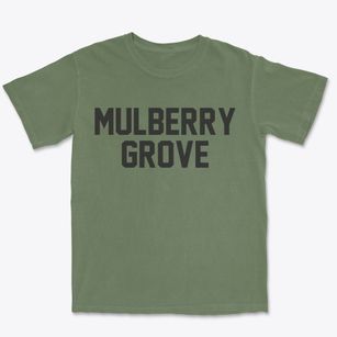Mulberry Grove Illinois Classic Block Premium Heavyweight T-shirt