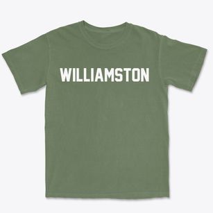 Williamston Michigan Classic Block Premium Heavyweight T-shirt