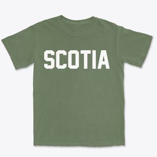 Scotia South Carolina Classic Block Premium Heavyweight T-shirt