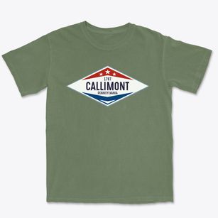 Callimont Pennsylvania Diamond Star Premium Heavyweight T-shirt