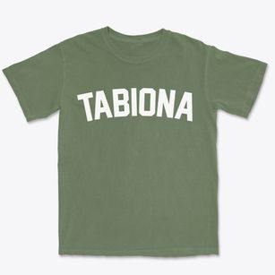 Tabiona Utah Classic Curve Premium Heavyweight T-shirt