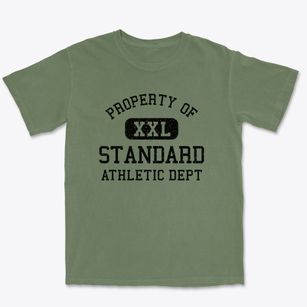 Standard Illinois Athletic Dept Premium Heavyweight T-shirt