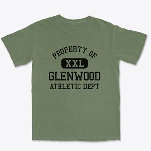 Glenwood Illinois Athletic Dept Premium Heavyweight T-shirt