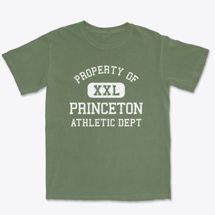 Princeton Iowa Athletic Dept Premium Heavyweight T-shirt