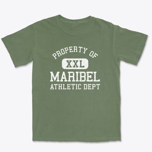Maribel Wisconsin Athletic Dept Premium Heavyweight T-shirt