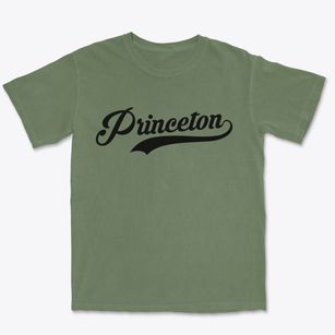 Princeton West Virginia Vintage Team Premium Heavyweight T-shirt