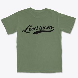Level Green Pennsylvania Vintage Team Premium Heavyweight T-shirt