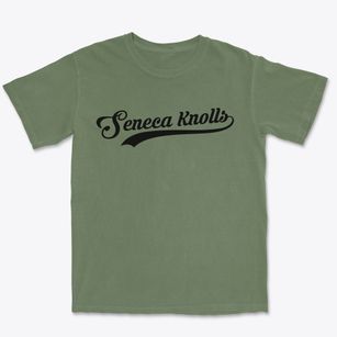Seneca Knolls New York Vintage Team Premium Heavyweight T-shirt
