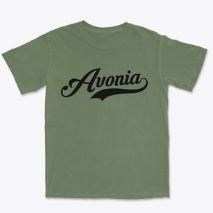 Avonia Pennsylvania Vintage Team Premium Heavyweight T-shirt