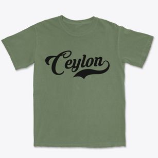 Ceylon Minnesota Vintage Team Premium Heavyweight T-shirt