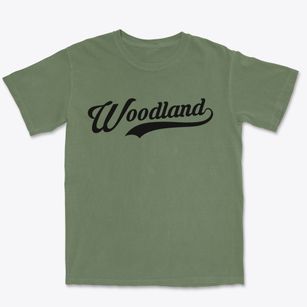 Woodland Illinois Vintage Team Premium Heavyweight T-shirt