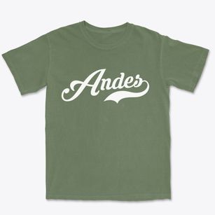 Andes New York Vintage Team Premium Heavyweight T-shirt