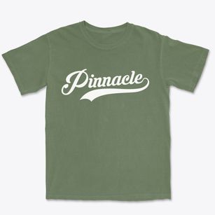 Pinnacle North Carolina Vintage Team Premium Heavyweight T-shirt