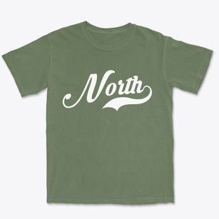 North South Carolina Vintage Team Premium Heavyweight T-shirt