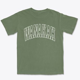 Wanakah New York Trendy Block Premium Heavyweight T-shirt