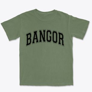 Bangor New York Varsity Premium Heavyweight T-shirt