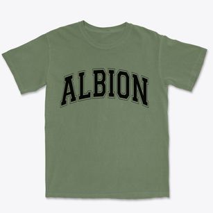 Albion Michigan Varsity Premium Heavyweight T-shirt