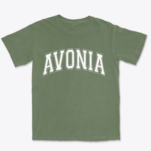 Avonia Pennsylvania Varsity Premium Heavyweight T-shirt