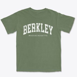 Berkley Massachusetts Urban Vibe Premium Heavyweight T-shirt