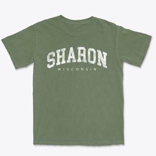 Sharon Wisconsin Urban Vibe Premium Heavyweight T-shirt