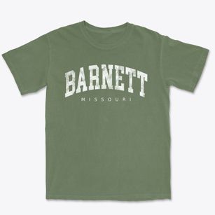 Barnett Missouri Urban Vibe Premium Heavyweight T-shirt