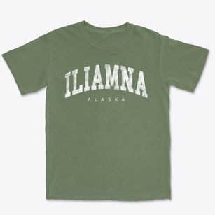 Iliamna Alaska Urban Vibe Premium Heavyweight T-shirt