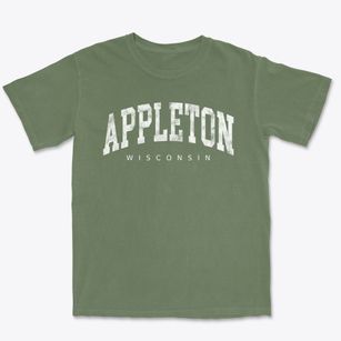 Appleton Wisconsin Urban Vibe Premium Heavyweight T-shirt