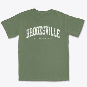 Brooksville Florida Urban Vibe Premium Heavyweight T-shirt