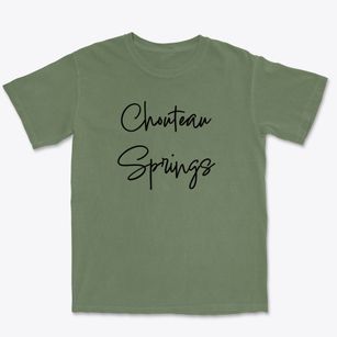 Chouteau Springs Missouri Freestyle Premium Heavyweight T-shirt