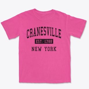 Cranesville New York Classic Established Premium Heavyweight T-shirt