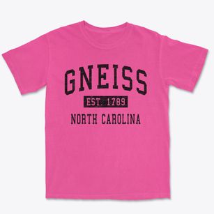 Gneiss North Carolina Classic Established Premium Heavyweight T-shirt