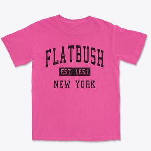 Flatbush New York Classic Established Premium Heavyweight T-shirt
