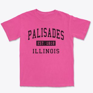 Palisades Illinois Classic Established Premium Heavyweight T-shirt