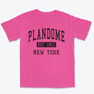 Plandome New York Classic Established Premium Heavyweight T-shirt