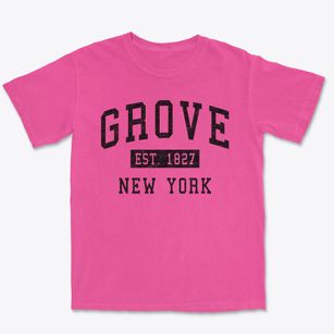 Grove New York Classic Established Premium Heavyweight T-shirt