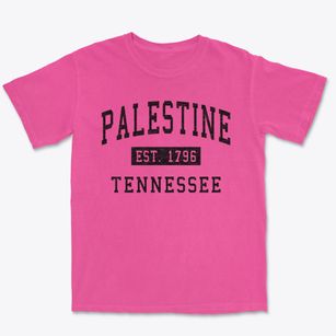 Palestine Tennessee Classic Established Premium Heavyweight T-shirt