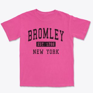 Bromley New York Classic Established Premium Heavyweight T-shirt