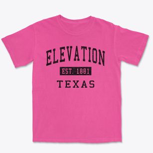 Elevation Texas Classic Established Premium Heavyweight T-shirt