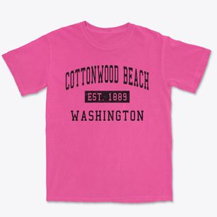 Cottonwood Beach Washington Classic Established Premium Heavyweight T-shirt