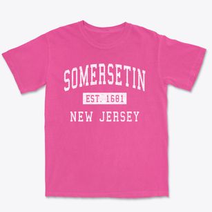 Somersetin New Jersey Classic Established Premium Heavyweight T-shirt