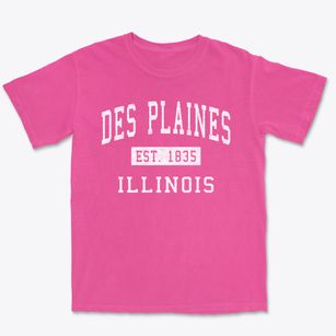 Des Plaines Illinois Classic Established Premium Heavyweight T-shirt