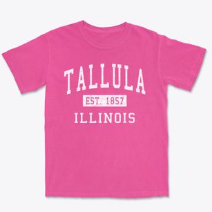 Tallula Illinois Classic Established Premium Heavyweight T-shirt
