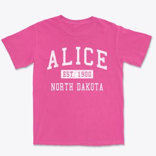 Alice North Dakota Classic Established Premium Heavyweight T-shirt